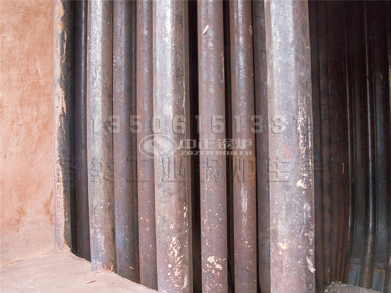 安康工业燃气节能锅炉除尘方式 哪个品牌比较好？